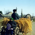 Деревня Окунево Омской области — аномальная зона?