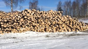 НАСТЕНЬКА, СПАСИ!