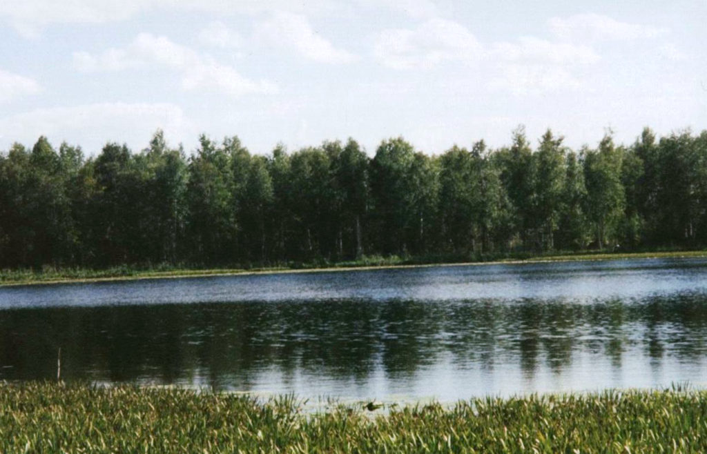 озеро Щучье Омской области